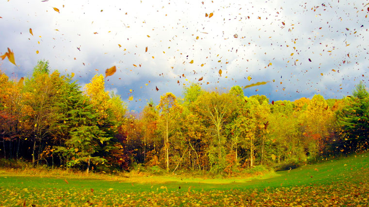 Quelle: WetterOnline
