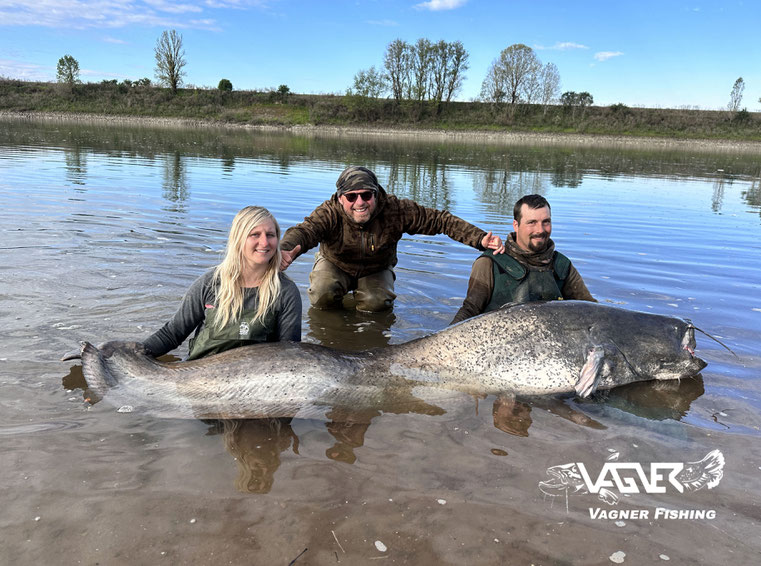 Vagner Fishing - Es handelt sich dabei um einen der schwersten Fische die ich bisher gesehen habe. Der massiv gebaute 264cm Wels war an Kampfkraft kaum zu überbieten.