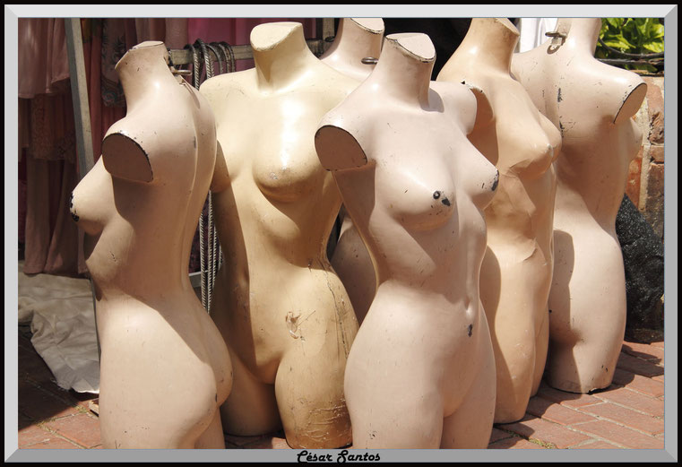 Maniquíes femeninos torsos