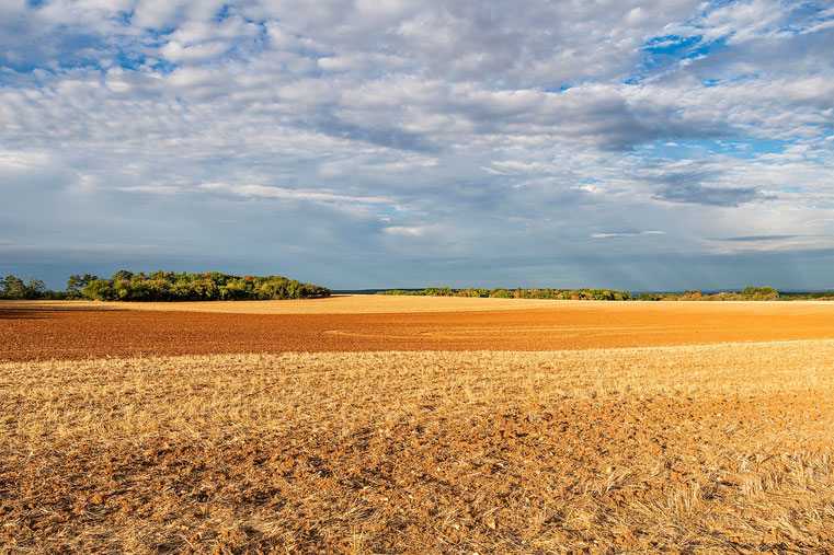 Paysage bourguignon