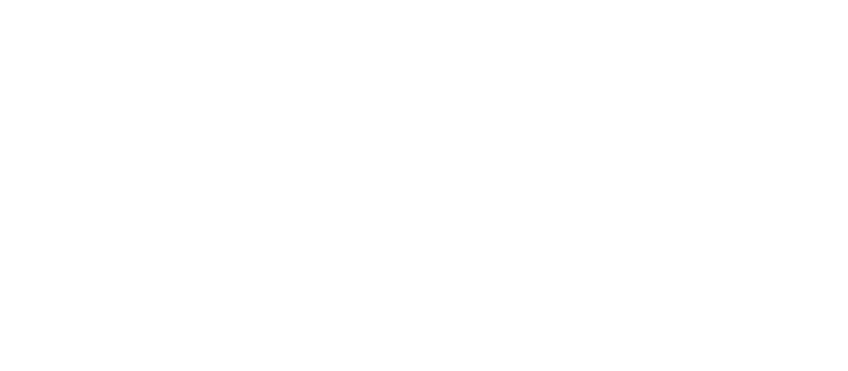 Logo Von Lichtecht Hochzeitsfotografie aus dem Erzgebirge