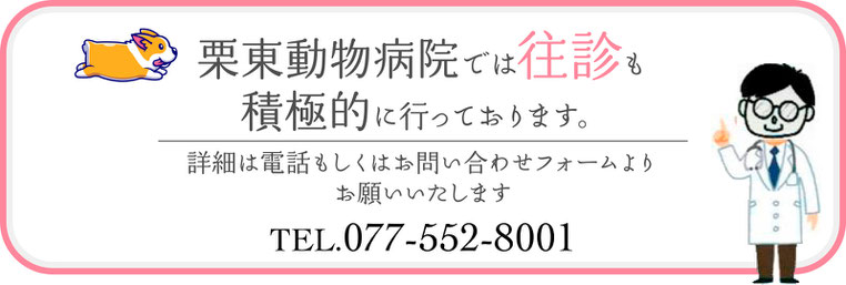 栗東動物病院では往診も積極的に行なっております。