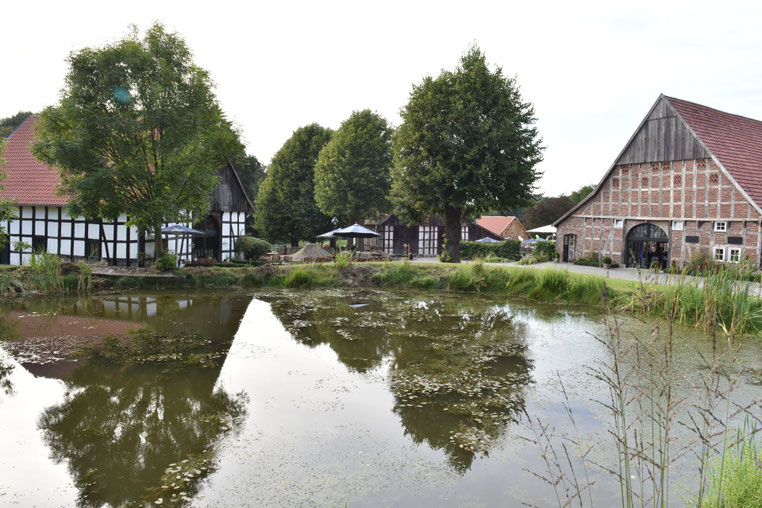 Spargelhof von Laer Herford