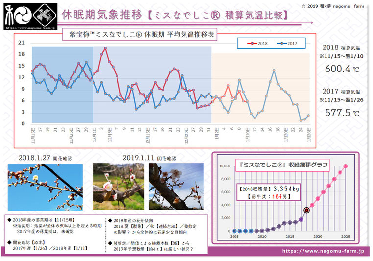 休眠期の気象推移比較【2018冬】　和×夢 nagomu farm