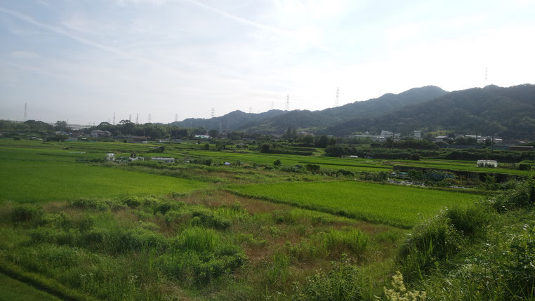 2019年8月3日、7日と35度を越す中で草刈りでした。草刈り機3台での作業。汗だく作業でしたが、その後の作物を作れることが楽しみです。
