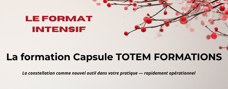 la formation capsule de totem formation