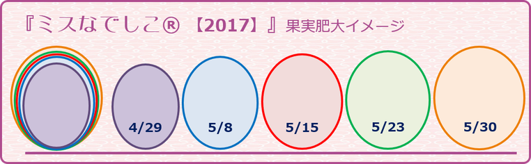 ミスなでしこⓇ果実肥大イメージ【2016】