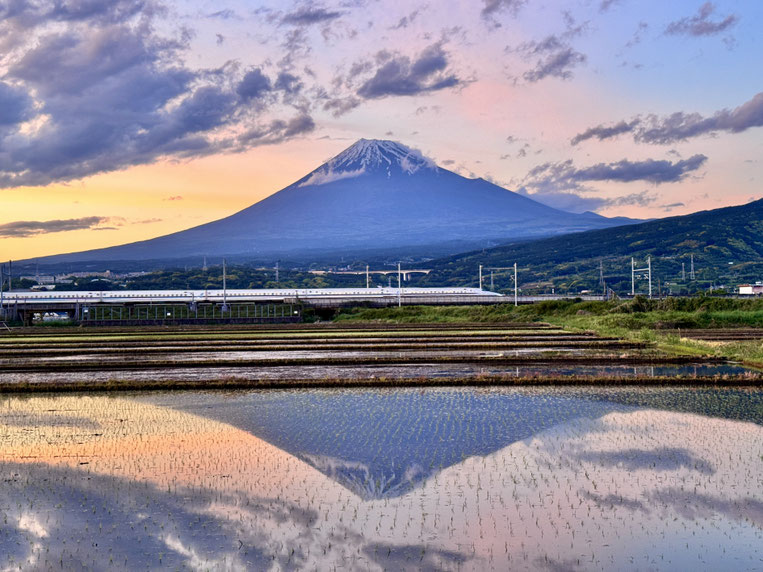 Mt. Fuji, a passing Shinkansen, and reflections in flooded rice fields in Fuji City