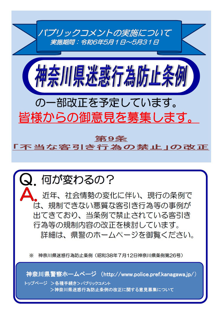 パブリックコメントの実施についてのチラシ