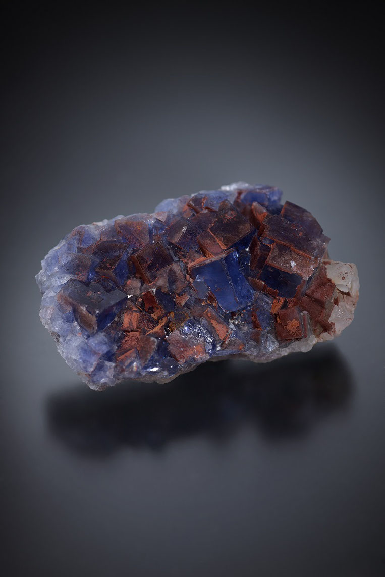 Flamboro Quarry - mos's Fluorite