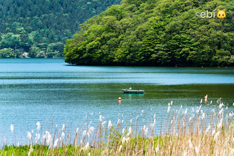 榛名湖