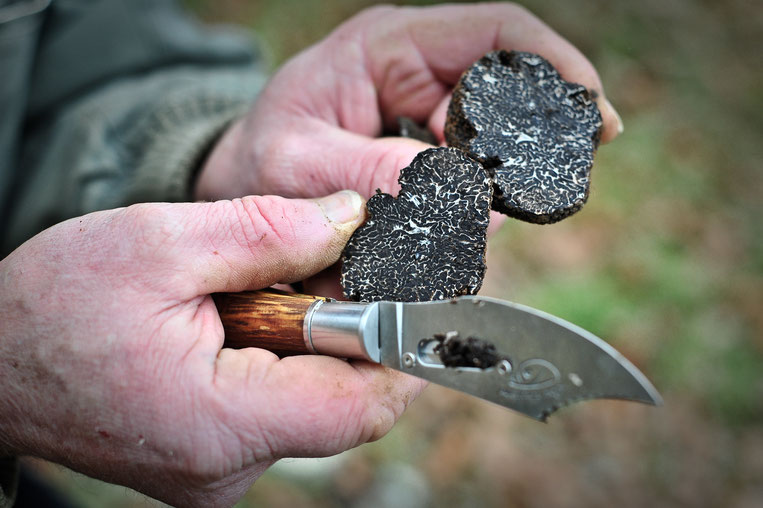 Le coeur de la truffe, son parfum, son arôme