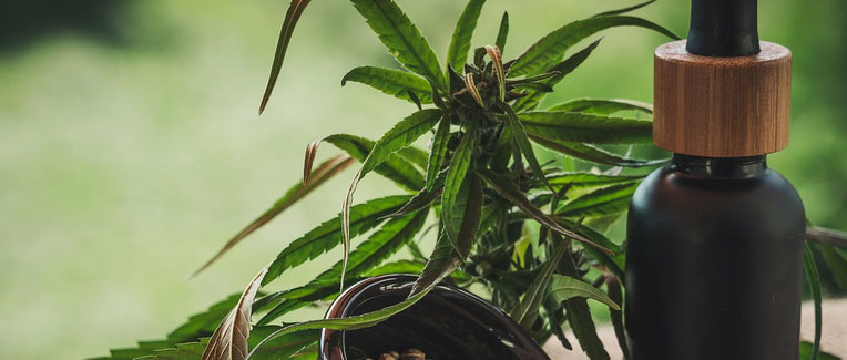 CBD Hanföl bei RLS
