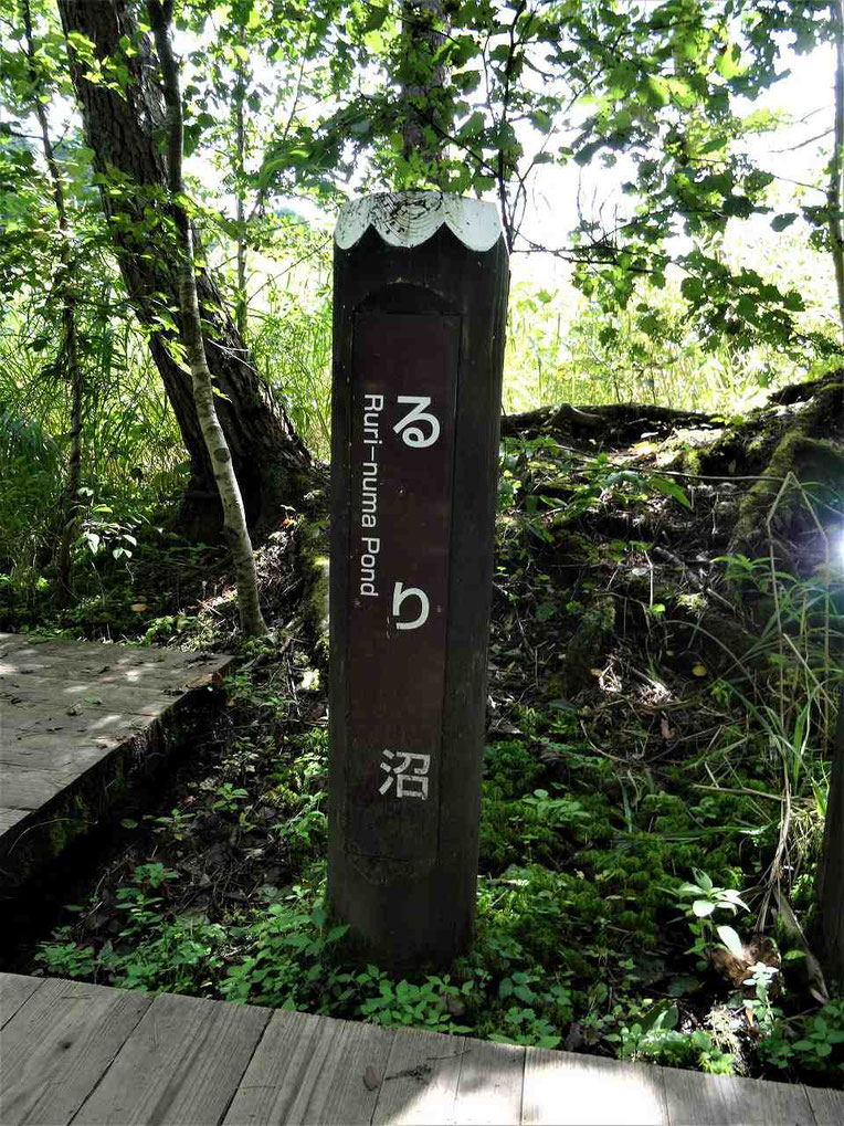 この柱をみたら脇道を探しましょう!