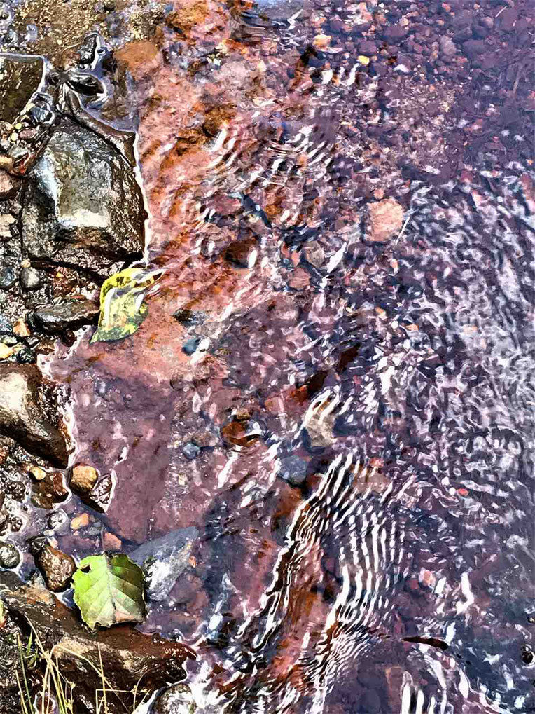 弁天沼展望台の足元を流れる赤錆の水