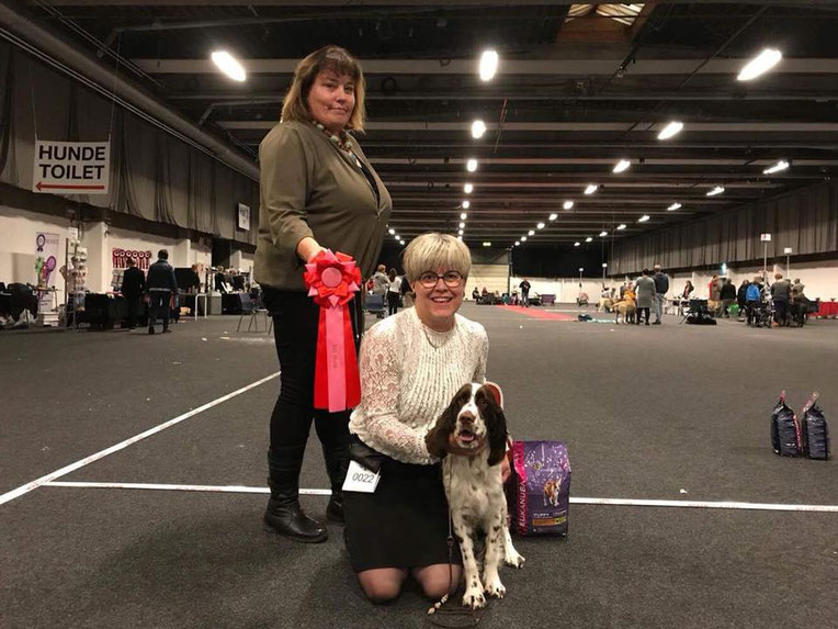 Maggie "Malwine vom Belauer See" is "Best in Show Puppy", shown by Randi Brohus, Kennel Clumbus, Photo: Heidi Lauritzen