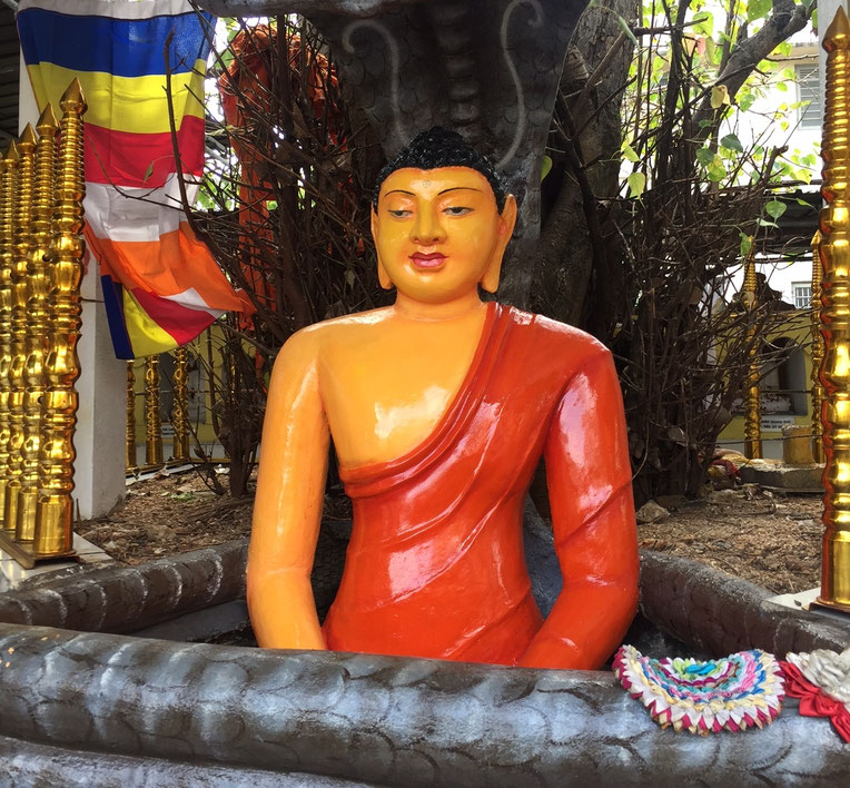 Un autel pour Buddha dans Galle