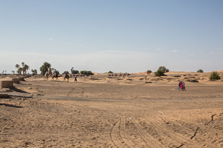 Mit Kamelen unterwegs im Erg Chebbi, gut 40 km von der algerischen Grenze entfernt. 