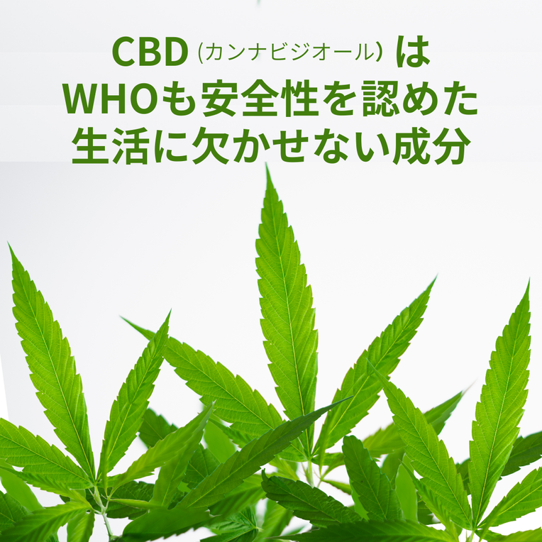 CBD（カンナビジオール）の画像