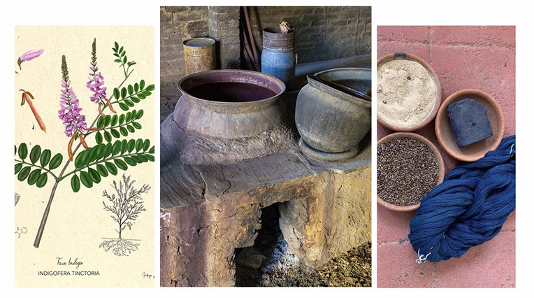 Branche d'indigofera tinctoria ; cuve à indigo ; et fils de coton teints à l'indigo à côté d'un bloc d'indigo et de mordants naturels.