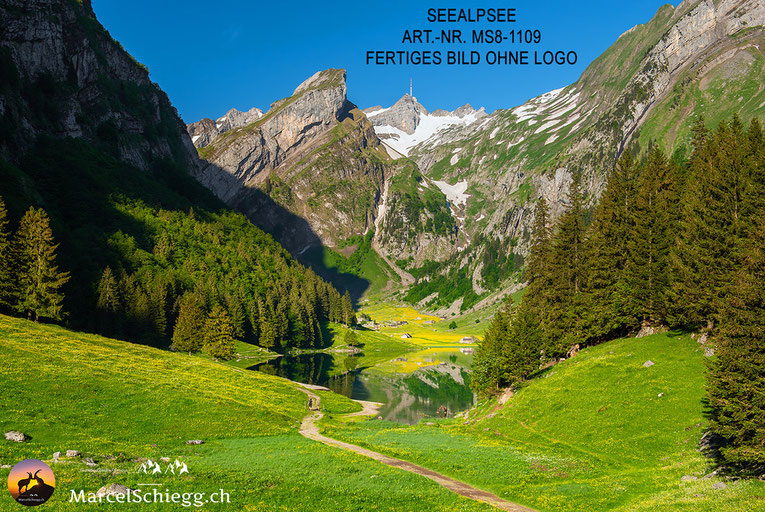 Seealpsee, Berggasthaus Seealpsee, Berggasthaus Forelle, Berggasthaus Mesmer