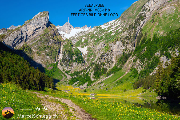 Seealpsee, Wandbild, Wanddeko
