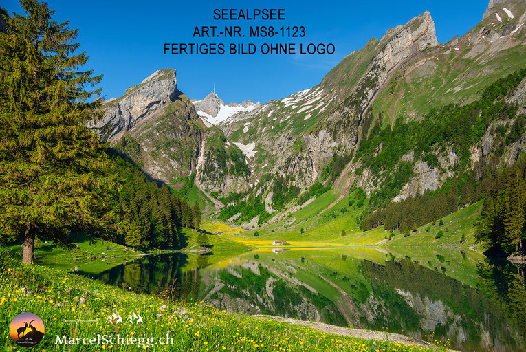 Seealpsee, Berggasthaus Seealpsee, Berggasthaus Forelle, Berggasthaus Mesmer