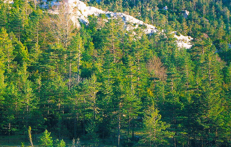 Las grandes estructuras montañosas (Sistemas Bético e Ibérico) forman en el litoral de la Comunidad Valenciana un conjunto de sierras de pequeño tamaño.