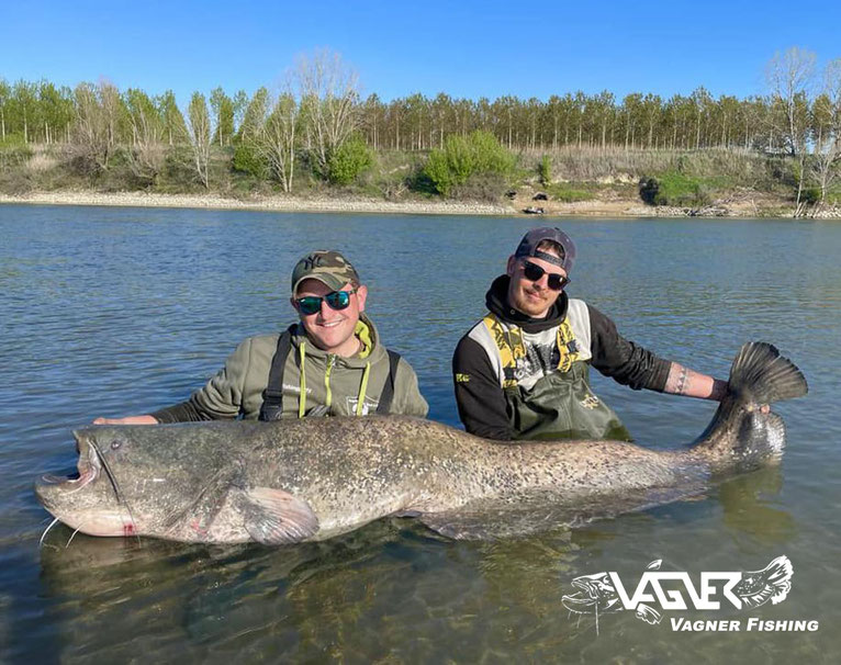 Vagner Fishing - Der Plan war vor Ort gemacht und wir bezogen unseren ersten Angelplatz zwischen Hauptfluss und Überflutungsgebiet. Die Vagner Stellfischruten gingen recht schnell nach dem Auslegen krumm und wir spürten das unser Vorhaben aufgehen wird. 