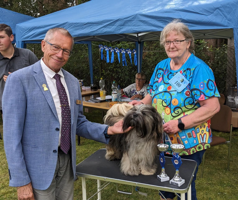 BOB Lhasa Apso