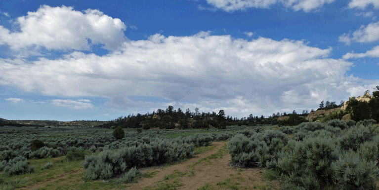 Mesa Portales, BLM land near Cuba, New Mexico