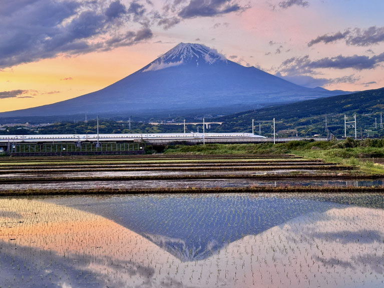 A Shinkansen train passes through rice fields with Mt. Fuji reflected in the water in Fuji City, Shizuoka Prefecture.