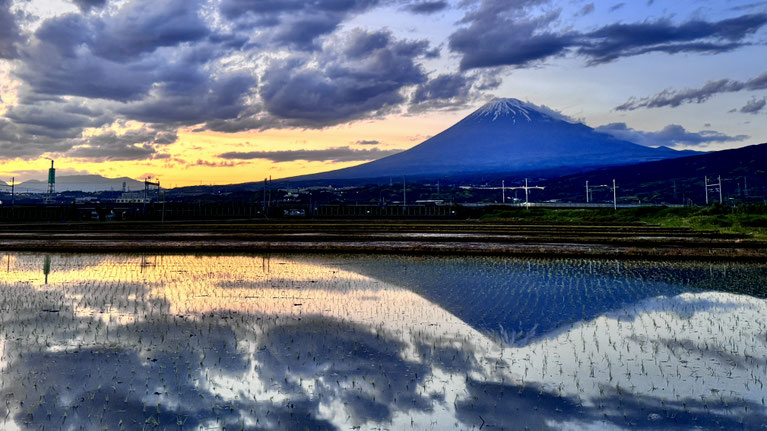Mt. Fuji and a colorful sunset reflected in a rice field in Fuji City, Shizuoka.