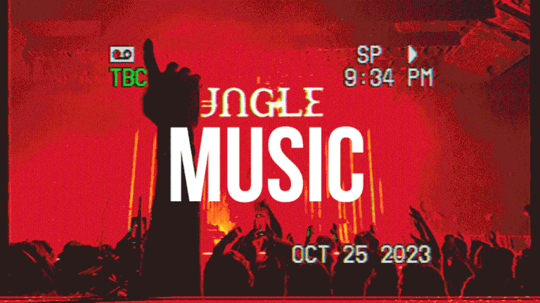 Vivien Liskovsky is a professional concert photographer based in Paris, France