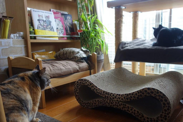 しじみとののこ