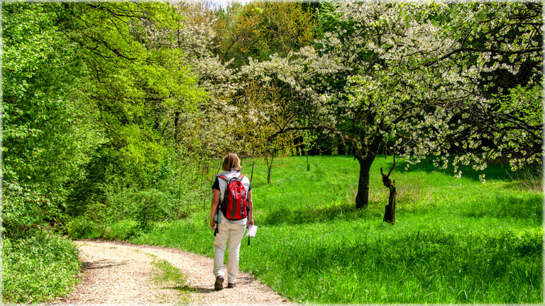Frühlingsspaziergang zu den sieben Churfürsten