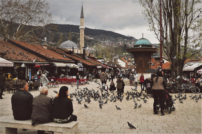 BIGOUSTEPPES BOSNIE HERZEGOVINE SARAJEVO PLACE PIGEONS