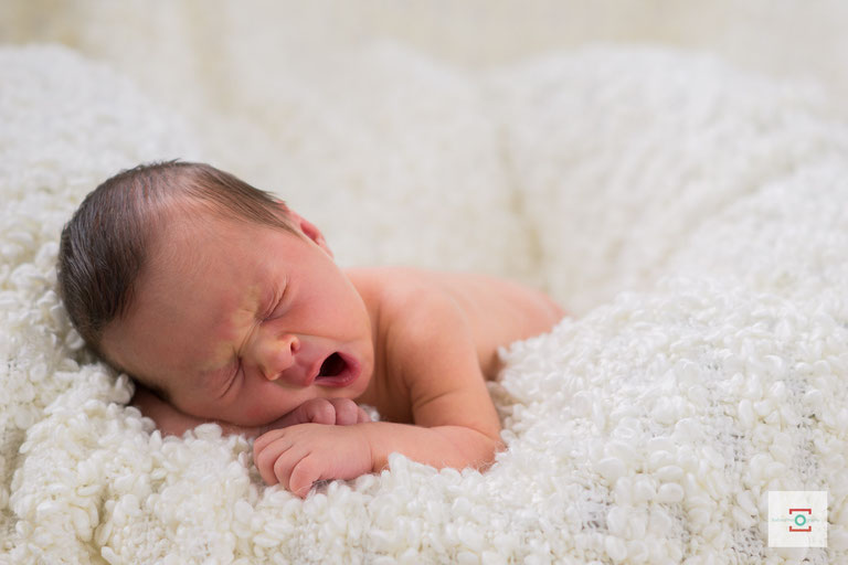 newborn fotograaf