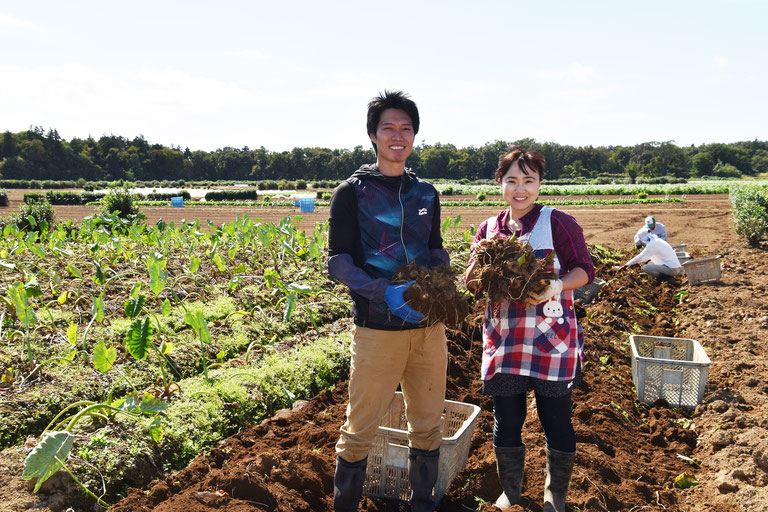 大木農園は、川越市南西部福原地区に位置する江戸時代より８代続く露地野菜農家です。