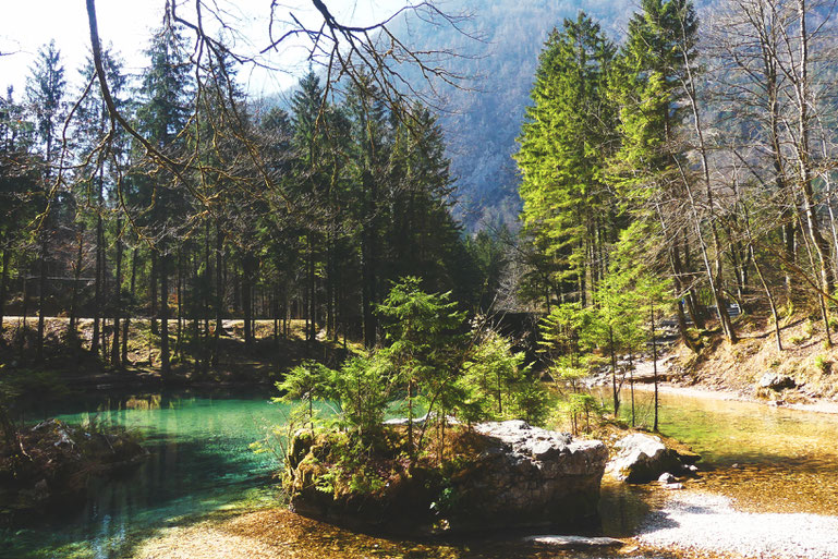 bigousteppes slovénie vallée logar montagne lac