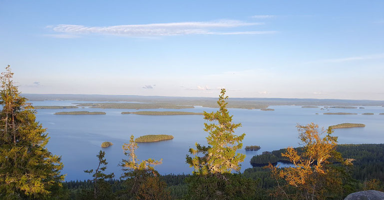 Pielinen-See im Koli Nationalpark mit kleinen Inselchen vom Monte Koli aus betrachtet @My own Travel Rundreise "Südfinnland & Tallin"