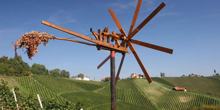 Klapotetz in den Weinbergen der Steiermark