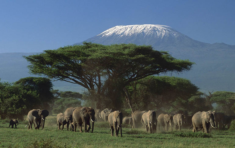 Bron: https://nomadtours.co.za/discover/highlights/amboseli-national-park/