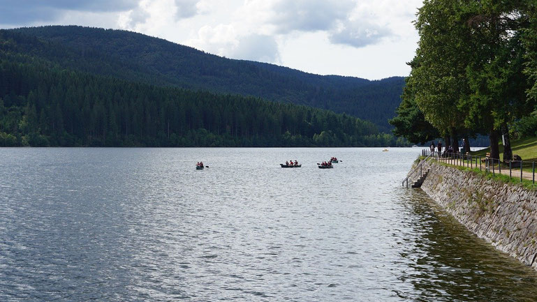 Blick auf den Schluchsee