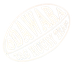 小田原タグラグビークラブ