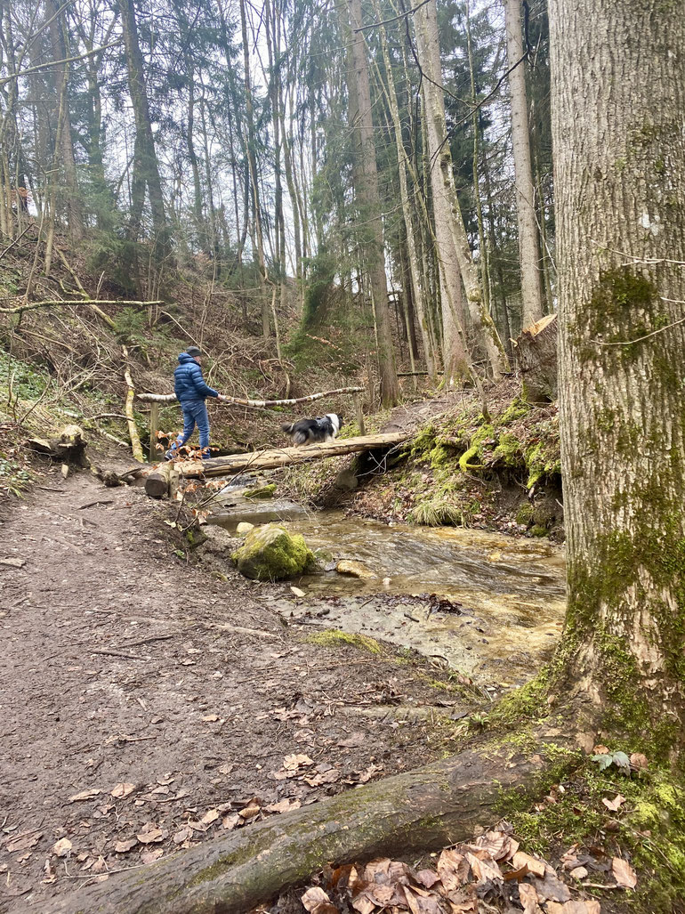 Feuersteinschlucht, Bernbeuren