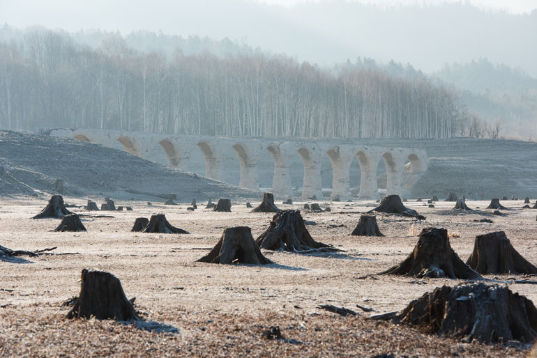 2016 — The bridge beyond the exposed stumps of the former forest.