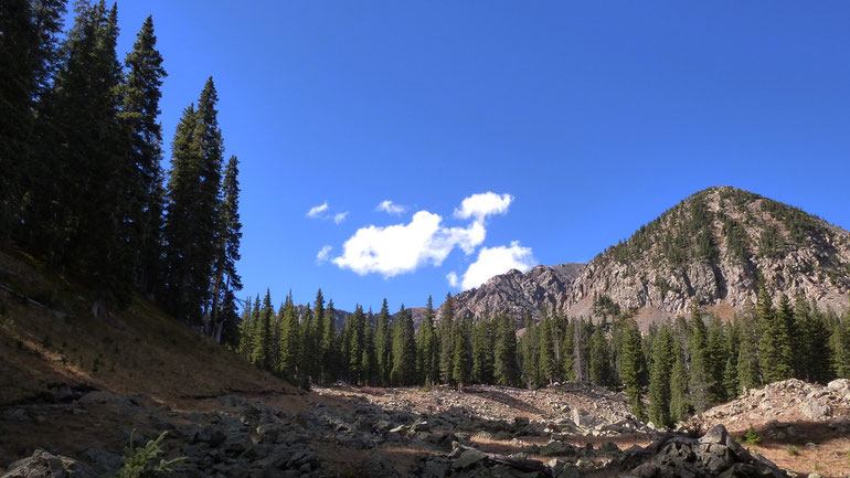 A large clearing along the upper part of the hike.