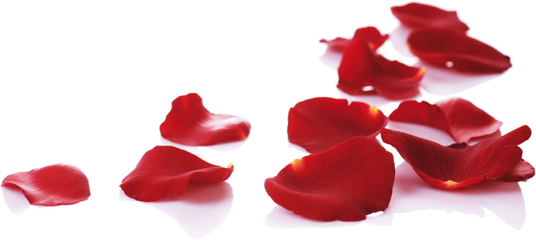 Eheringe; Ehring; Trauringe; Trauring; Hochzeit; Ehe; Schmuck; Diamantring; Gold; Platin; Robert Kollmann; Wolfgang Modry; Verlobungsring; Diamantring; Gold; Platin