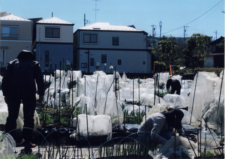 写真：審査委員長特別賞／春よ来い　早く来い！！